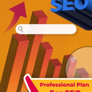 Professional Plan for SEO - Minnions Tech
