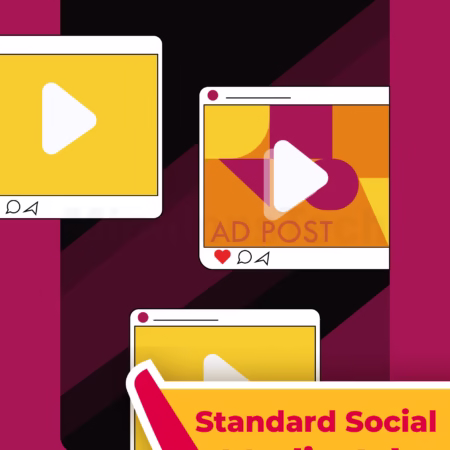 Standard Social Media Ads - Minnions Tech