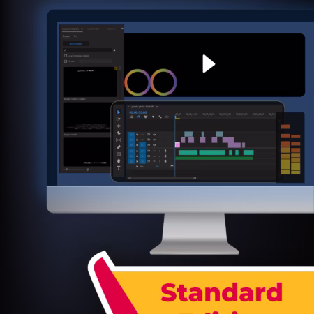Standard Video Editing Plan - Minnions Tech