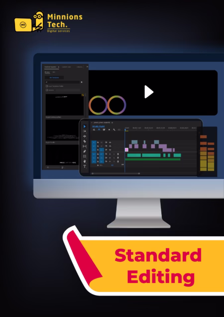 Standard Video Editing Plan - Minnions Tech
