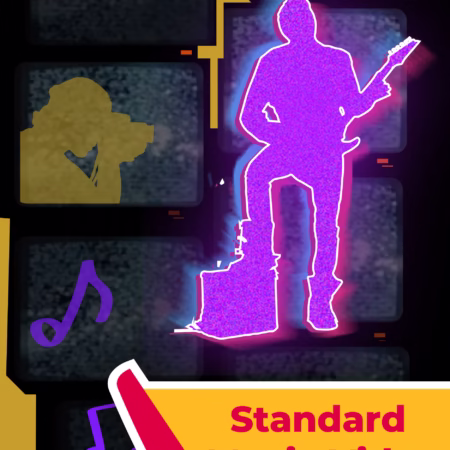 Standard Music Video Plan - Minnions Tech
