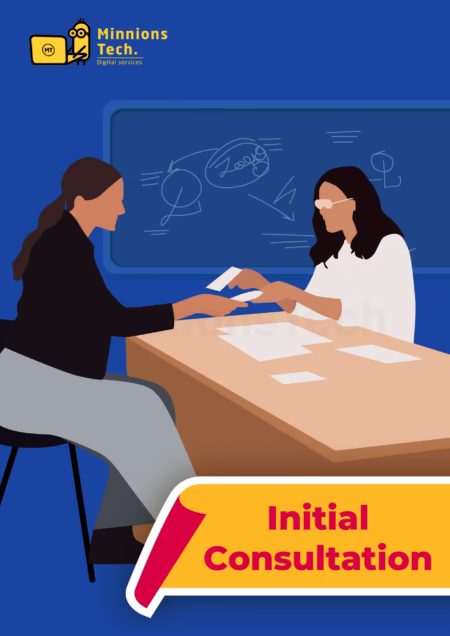 Initial Consultation - Minnions Tech