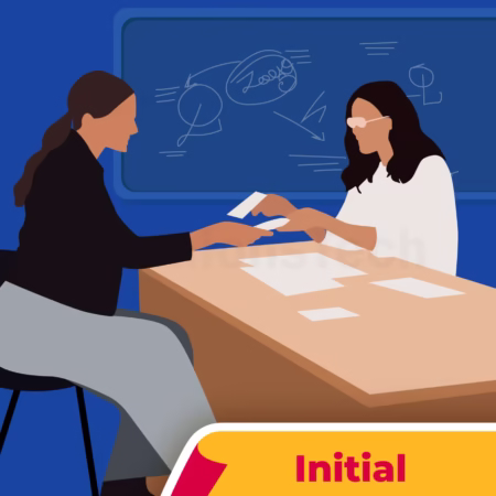 Initial Consultation - Minnions Tech
